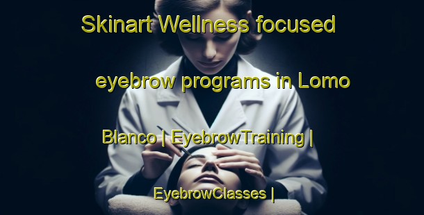 Skinart Wellness-focused eyebrow programs in Lomo Blanco | EyebrowTraining | EyebrowClasses | SkinartTraining-Spain